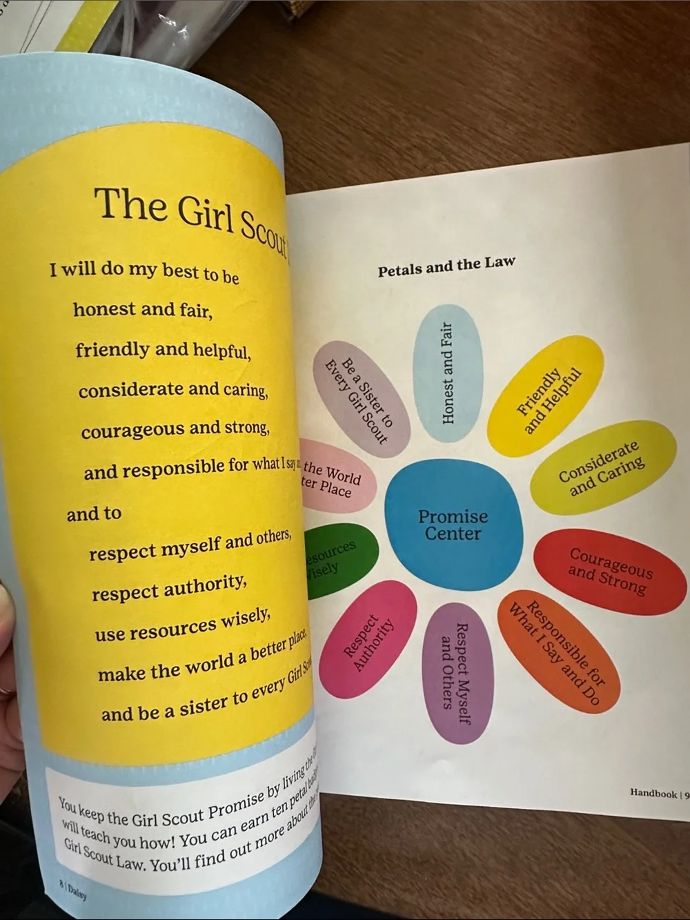 Daisy Handbook - like new, only 2 pages out/used.